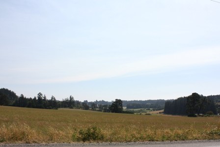 a0100975_727302.jpg