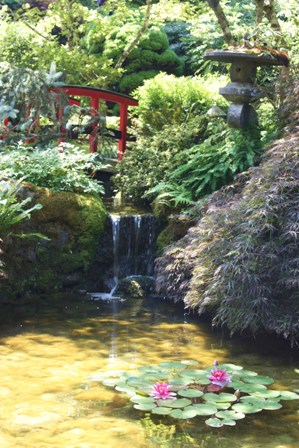 a0100975_857421.jpg