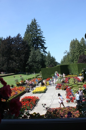 a0100975_929847.jpg