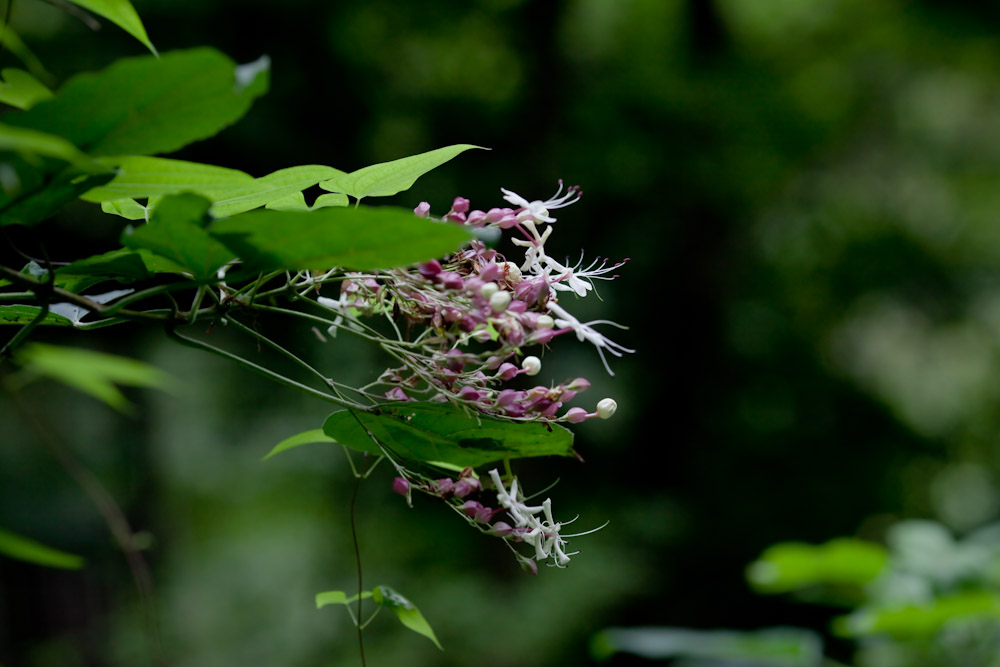 a0083081_1752469.jpg