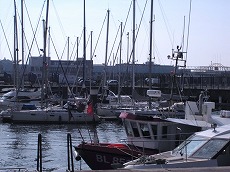 a0107981_23354239.jpg