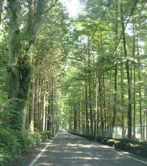 e0154682_155910.jpg