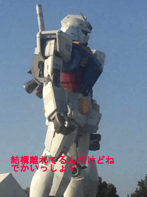 c0037384_1131655.gif