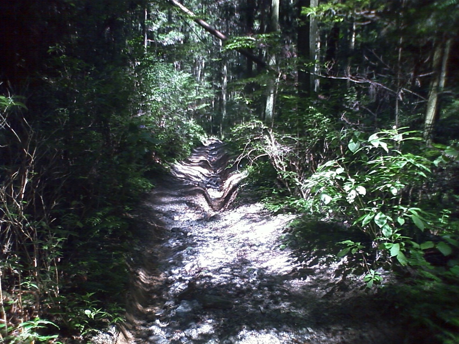 c0191988_21565495.jpg