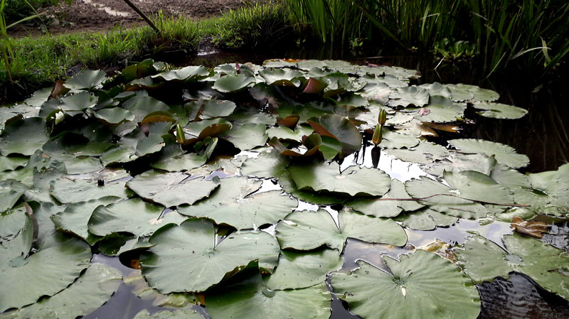 a0049090_20253822.jpg