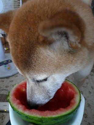 c0123890_21341330.jpg