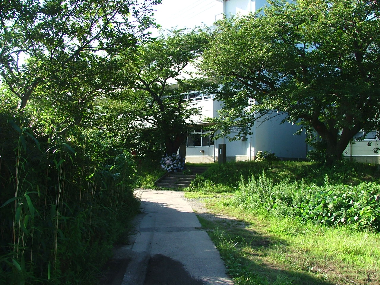 e0149593_22515557.jpg