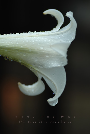 f0054594_421279.jpg