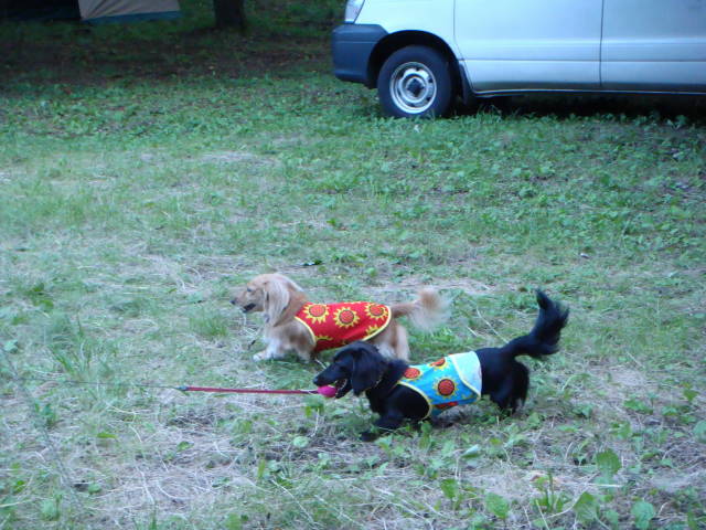 d0098295_0522157.jpg