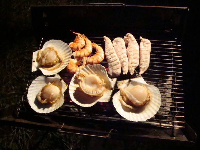 d0098295_16394621.jpg