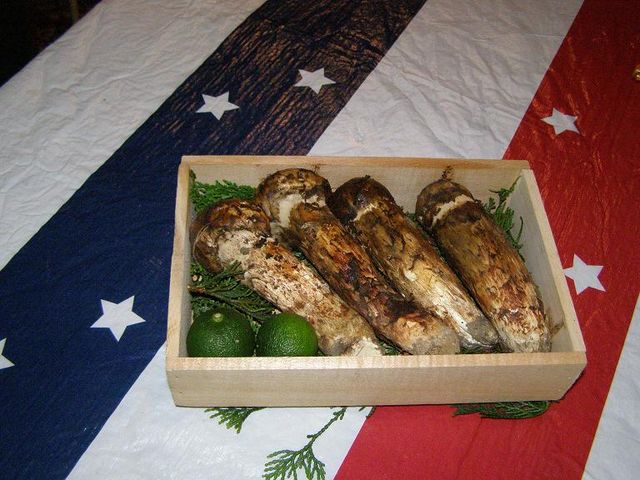 e0183603_14523361.jpg