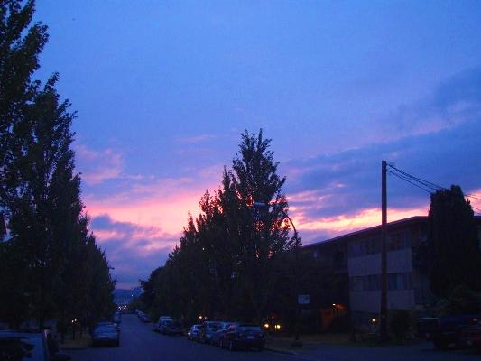 c0195804_435729.jpg