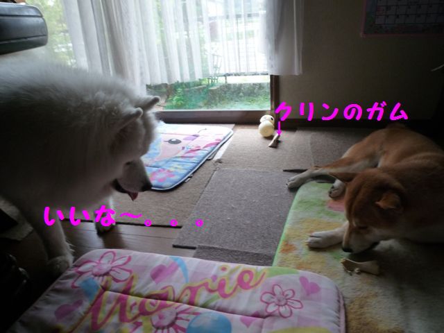 e0018604_17131677.jpg
