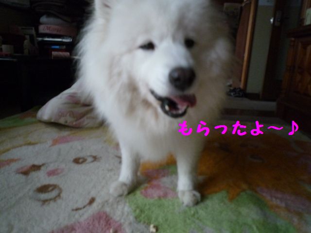 e0018604_17151927.jpg
