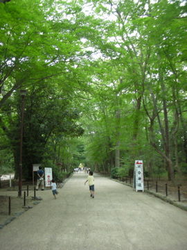 c0145209_1535923.jpg