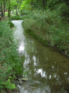 c0145209_1555734.jpg