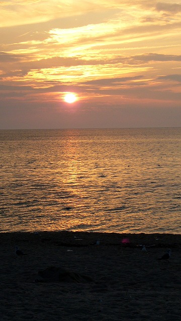 c0108810_2423550.jpg