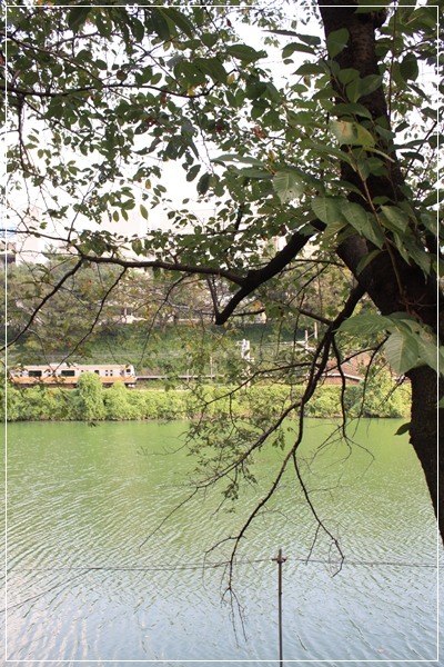 c0186410_13374675.jpg