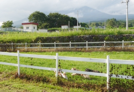 e0078510_2053037.jpg