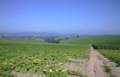 a0052011_20592391.jpg