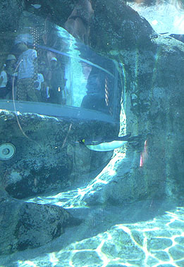 a0052011_2102072.jpg