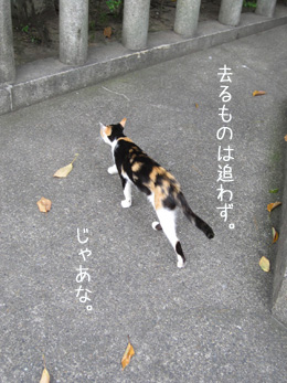 e0156015_1013169.jpg