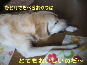 b0008217_2044953.jpg
