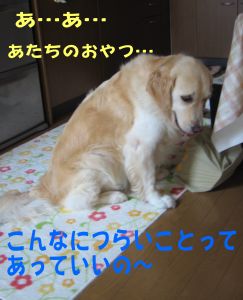 b0008217_2045232.jpg