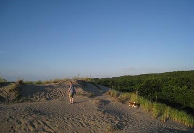 c0084117_14321963.jpg