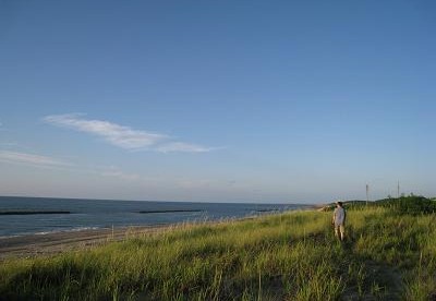 c0084117_14541769.jpg