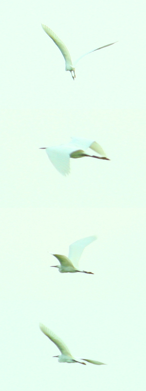 f0181018_20114565.jpg