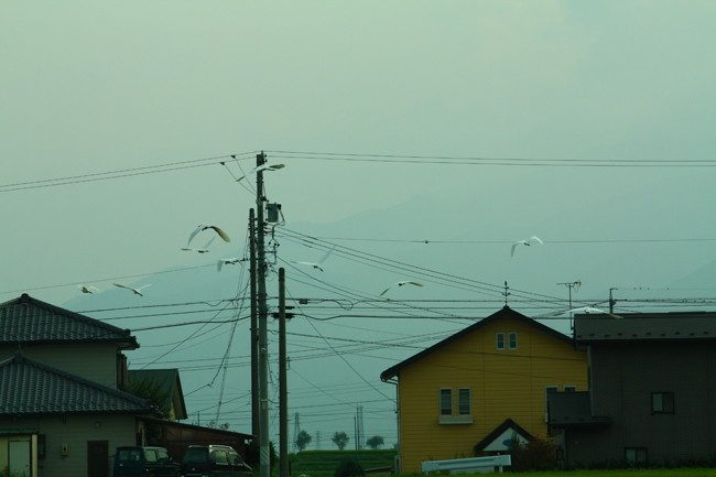 f0181018_206580.jpg