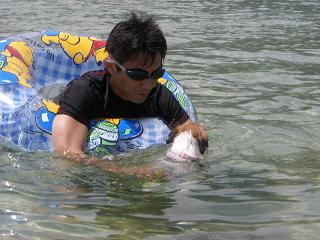 a0089120_1551412.jpg