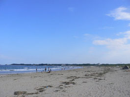 c0137720_015613.jpg