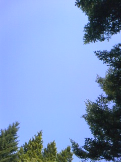 d0024220_21124665.jpg