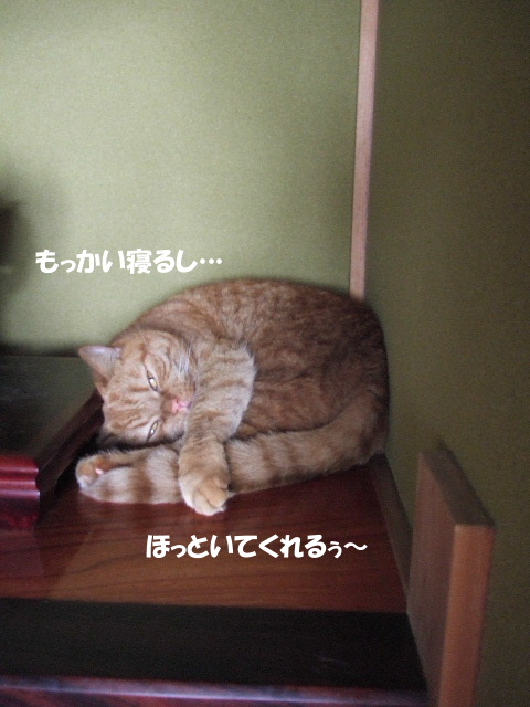 f0032020_1210141.jpg