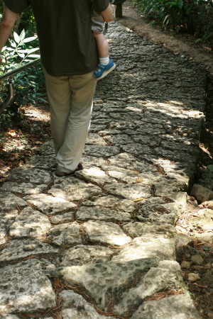 f0097620_17435047.jpg