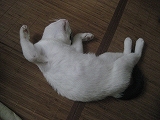 f0139520_10182164.jpg