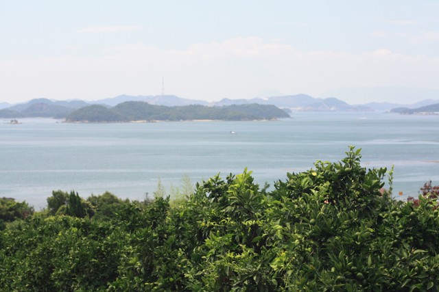 e0123322_20591222.jpg