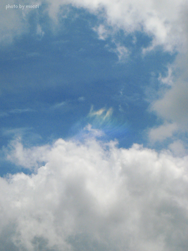 d0131523_14351228.jpg