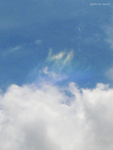 d0131523_14471327.jpg