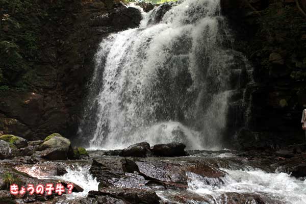 f0203423_14111238.jpg