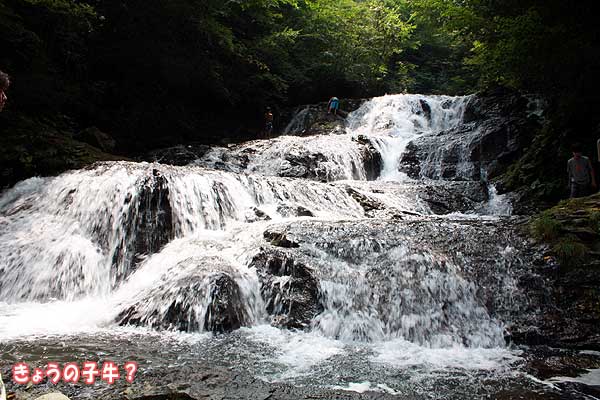 f0203423_14112920.jpg