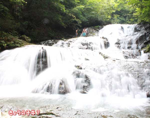 f0203423_14113541.jpg