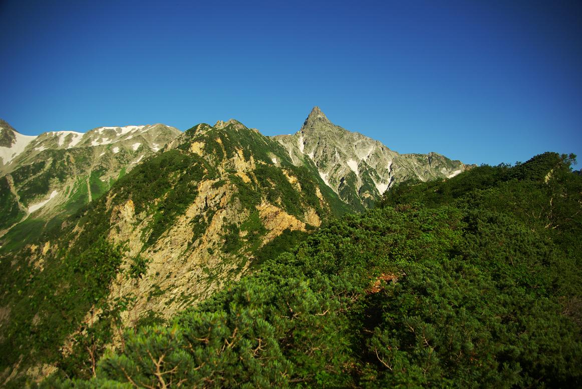 b0062024_858626.jpg
