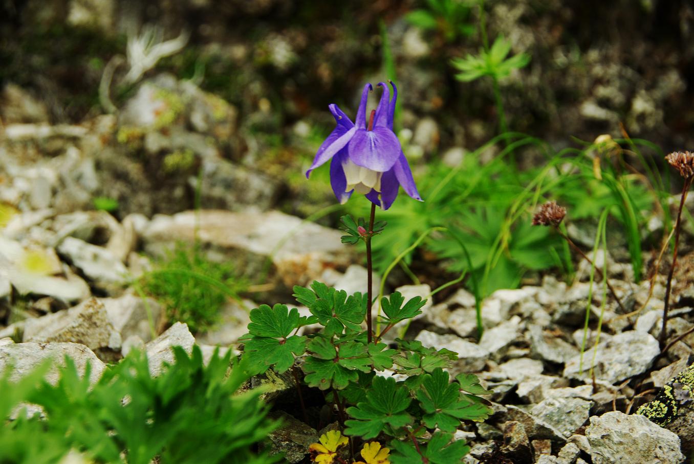 b0062024_9471183.jpg
