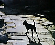 c0051529_0184725.jpg
