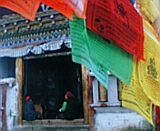 c0051529_062221.jpg