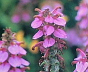 c0051529_22415185.jpg