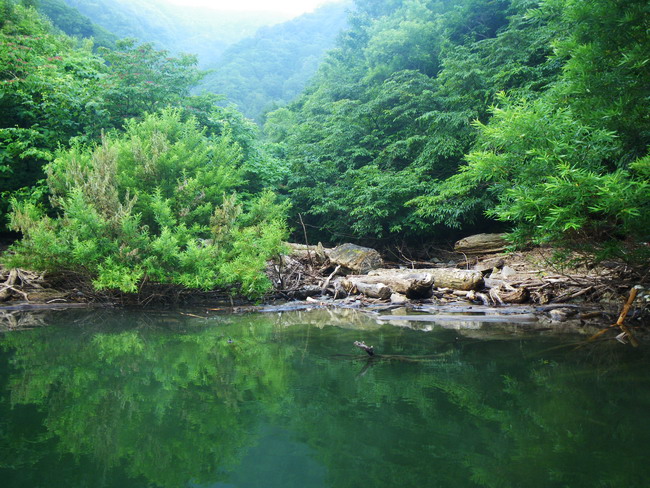 c0035931_22163013.jpg